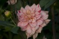 /album/fotogalerie-jirinky/a100912-038-jpg/